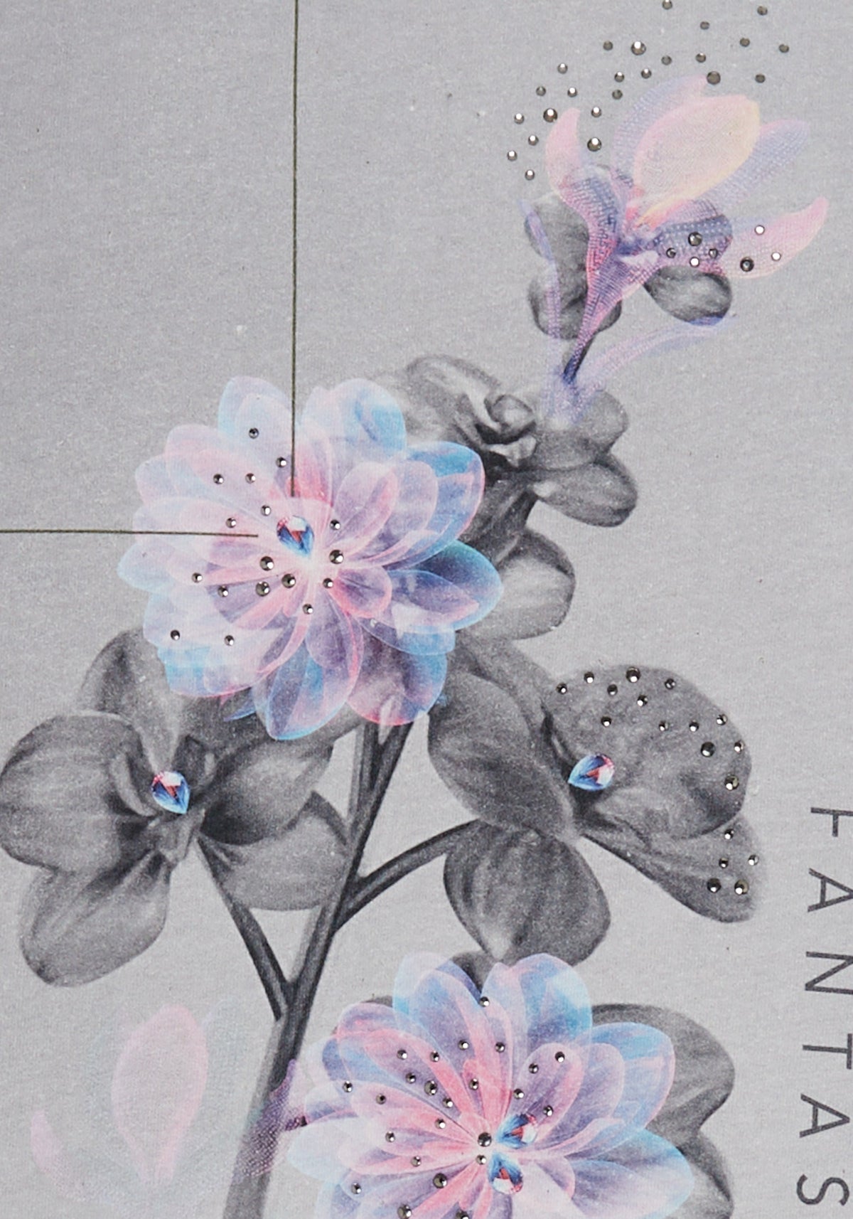 Embellished Placement Print T-Shirt